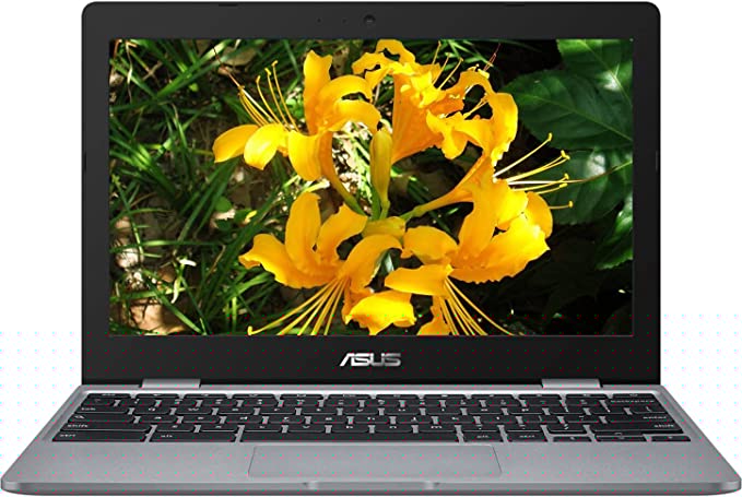 Premium ASUS Chromebook CX22NA 11.6" Laptop Computer for Student, Celeron N3350 up to 2.4GHz, 4GB LPDDR4 RAM, 32GB eMMC, 802.11AC WiFi, Bluetooth, Webcam, Type-C, Gray, Chrome OS, 16GB Flash Stylus