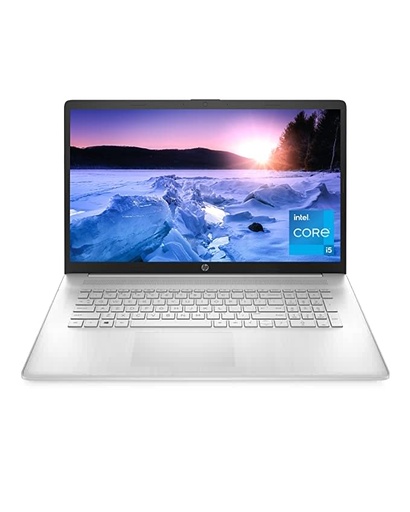 HP 17-inch Laptop, 11th Generation Intel Core i5-1135G7, Intel Iris Xe Graphics, 8 GB RAM, 256 GB SSD, Windows 11 Home (17-cn0025nr,Natural Silver)