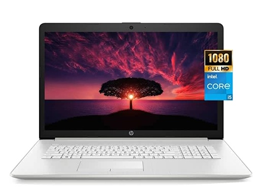 HP 17 Business Laptop Computer, 11th Gen Intel Core i5-1135G7, 17.3" FHD IPS Display, Windows 11 Pro, 32GB RAM, 1TB SSD, Wi-Fi 6, Bluetooth, Webcam, Backlit Keyboard, 32GB Tela USB Card